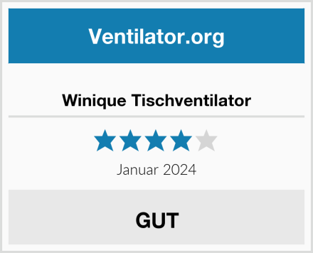  Winique Tischventilator Test