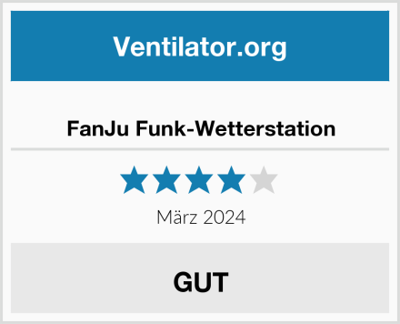  FanJu Funk-Wetterstation Test