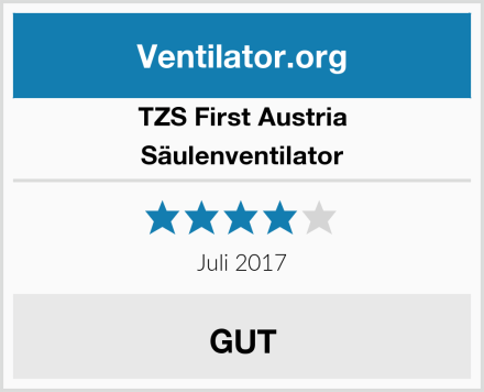 TZS First Austria Säulenventilator Test