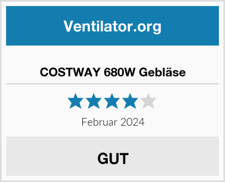  COSTWAY 680W Gebläse Test